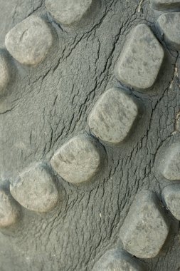 Tekerlek sırt. Kauçuk tekerleklerin yüzeyinin detaylı planı.
