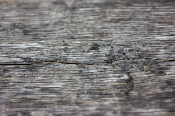 Oude houten plank met scheuren en vlekken. Achtergrond.Oud rustiek hout met krassen en schimmeltextuur. Natuurlijke achtergrond. Selectieve focus. — Stockfoto
