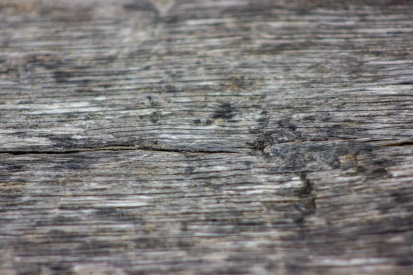 Antiguo tablero de madera con grietas y manchas. Fondo. Madera rústica vieja con arañazos y textura de molde. Fondo natural. Enfoque selectivo . —  Fotos de Stock