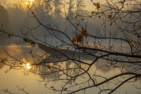 Boat floating river view, through a branch, with morning sun and fog, autumn landscape — Stock Photo, Image