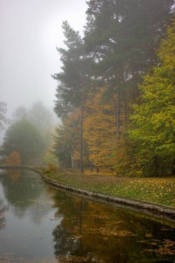 Sonbahar manzara, ağaçlarda renkli yaprakları, nehir sabah yağmurlu geceden sonra. Renkli yaprakları. Sonbahar akışı. Orman nehir. Kasım sahne. Sonbahar sabah nehir. Renklerin Nehri. Sonbahar doğada.