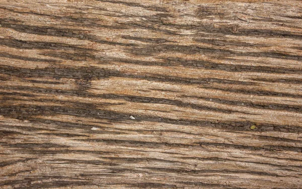 Houten oude plank in natuurlijke ongeverfde kleur. Achtergrond en textuur. Embossed board met knopen. — Stockfoto