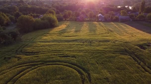 Ochtend Natuur Buurt Van Huizen Het Dorp Prachtig Landschap Veld — Stockvideo