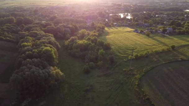 住宅との和解の近くのフィールド上を飛んで四角形のカメラのレンズで朝の太陽の輝き 農村の自然風景ビデオ — ストック動画