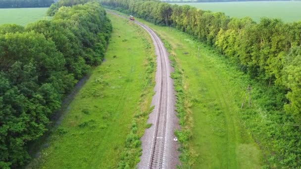 Autentico Treno Diesel Viaggia Voli Che Attraversano Splendida Natura Verde — Video Stock