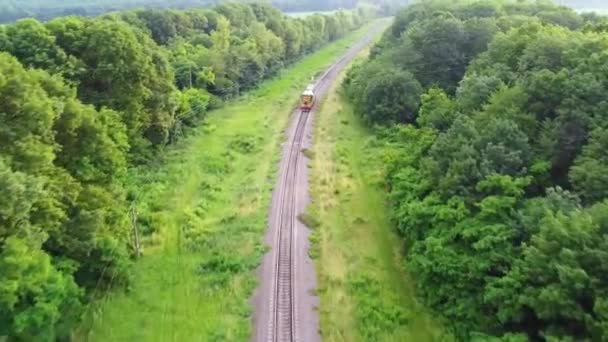 Autentický Dieselový Vlak Cestuje Letech Které Projíždějí Krásnou Zelenou Přírodou — Stock video