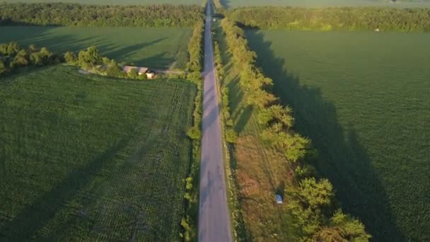 Flygfoto Över Väg Åkrar Träd Och Natur — Stockvideo