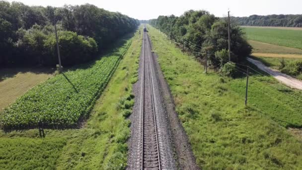 Futurystyczny Niebieski Pociąg Pasażerski Zbliża Się Torów Kolejowych — Wideo stockowe