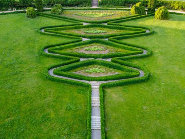 Sofya Parkı 'ndaki zemin kat Amfitiyatrosu, dendroloji parkı. Uman, Ukrayna 07.05.2020