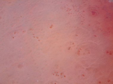 Pembe arka plan, Ukrayna 'da pembe bir gölde gözyaşı ve su manzarası.