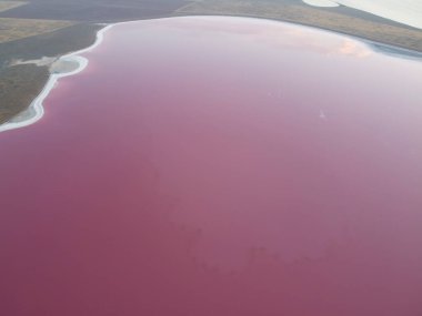 Pembe göl, çok tuzlu su kütlelerinde yaşayan alglerin gelişmesinden dolayı pembe renkli bir tuz gölü..