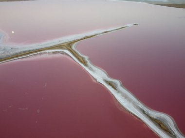 Mexico City 'deki pembe göl, yüksek tuz içeriğinden dolayı pembe bir renk veren algler gelişir..