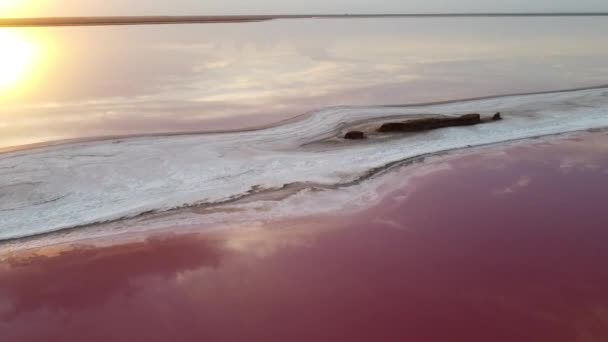 Pantai Garam Danau Merah Muda Meludah Endapan Garam Dari Danau — Stok Video