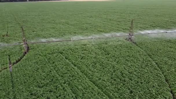 Sojabonen Water Geven Het Veld Zomer Zout Kweken Met Een — Stockvideo