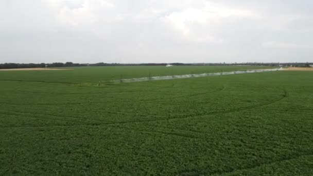 田里灌溉大豆农场的供水 逃到田园灌溉系统 — 图库视频影像
