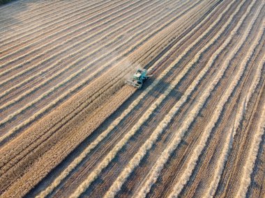 Tarlada buğday hasat eden, üst görüş, tahıl toplama ekipmanından yükselen saman ve toz biçme.
