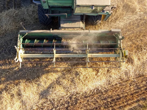 Συνδυασμένη επεξεργασία συγκομιδής, συγκομιδή σιτηρών στον αγρό, γεωργικά μηχανήματα κατά την εργασία. — Φωτογραφία Αρχείου