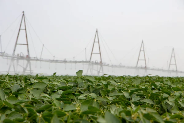 Irrigation plant for irrigation of agricultural fields, efficient watering for soybean cultivation.