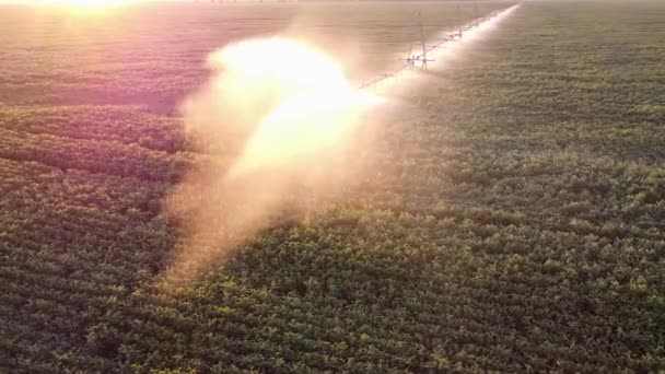 Water Fountain Field Irrigation System Watering Soybean Crops Fields Farm — Stock Video