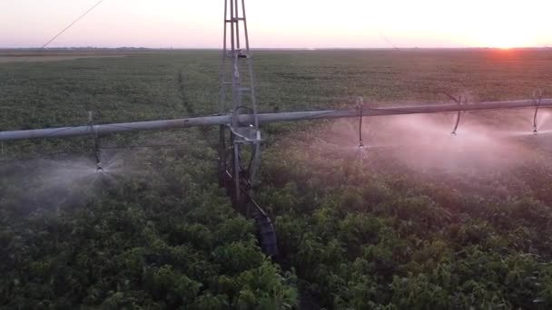 Pulvérisation Eau Avec Des Buses Sur Système Irrigation Des Champs — Video