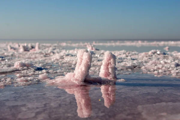 Two pink salt crystals on the shores of a pink lake in Australia.