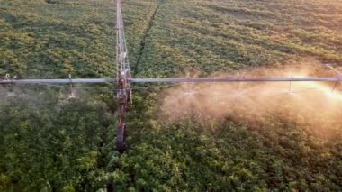Otomatik sulama sistemi, soya tarlalarının sulanması için tarım pompası. Sabah mahsulün otomatik serpintisi.
