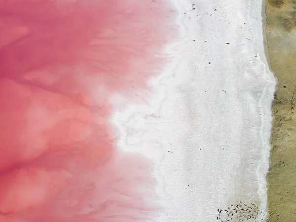 Tuz ve pembe gölle kaplı kıyı manzarası.
