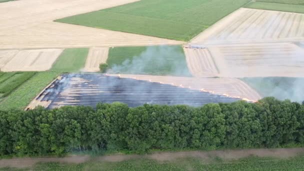 Un montón de humo se propaga en el aire de la paja ardiente en el campo. — Vídeos de Stock