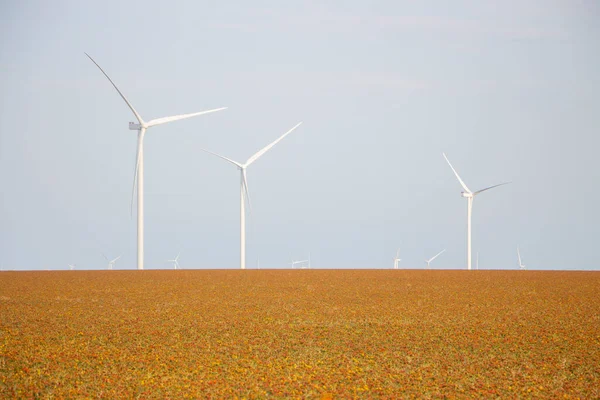 Turbiny Wiatrowe Tle Zachmurzonego Nieba Wiatraki Wytwarzające Energię Elektryczną Instalowane — Zdjęcie stockowe