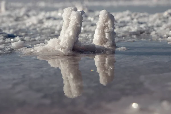 Dva Krystaly Soli Vytvořené Břehu Jezera Vysokým Obsahem Soli — Stock fotografie
