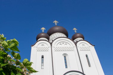 Güneşli bir günde, bulutsuz gökyüzünün arka planındaki kilisenin kubbesi. Ve ön planda çiçek açan bir ağacın dalı..