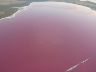 Kuşbakışı pembe göl, üst görüş, kuadkopter uçuş..