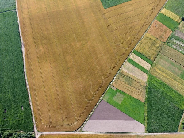 Het Veld Wordt Gezaaid Met Verschillende Gewassen Door Geometrische Vormen — Stockfoto