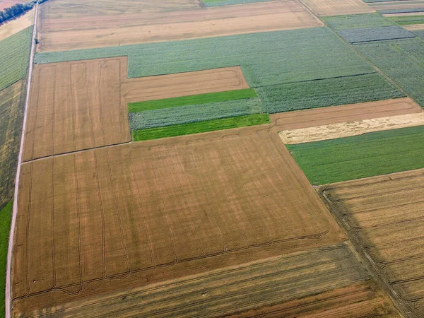 Campo Semeado Com Diferentes Culturas Por Formas Geométricas Áreas Campos — Fotografia de Stock