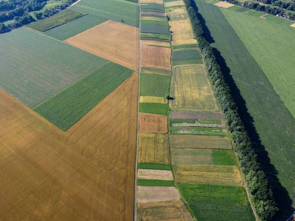 Parcelas Tierra Plantan Con Diferentes Cultivos Cinturón Forestal Vista Superior — Foto de Stock