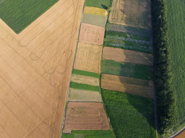 Parcelas Terra São Plantadas Com Diferentes Culturas Cinturão Florestal Vista — Fotografia de Stock