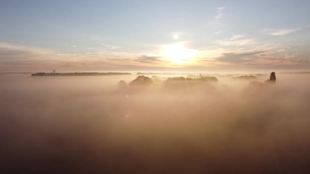 Morgennebel Sonnenstrahlen Und Lange Schatten Nebel Der Sich Zwischen Den — Stockvideo