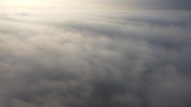 Abstracción Natural Del Vuelo Del Dron Sobre Niebla Matutina Grueso — Vídeos de Stock