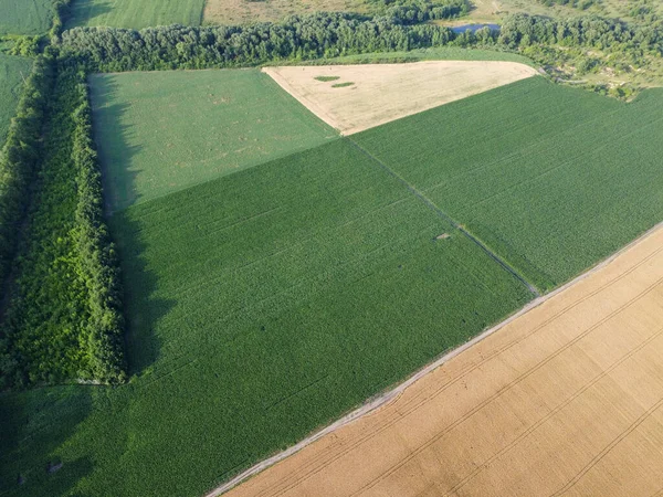 Landbouwlandschap Luchtfoto Van Landbouwgronden — Stockfoto