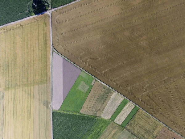 Diferentes Terras Agrícolas Tamanho Vista Superior Formas Geométricas Culturas — Fotografia de Stock