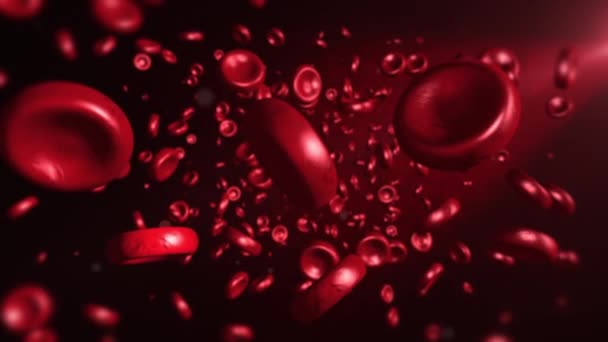 Cellen Van Het Bloed Bloedstroom Onder Microscoop — Stockvideo