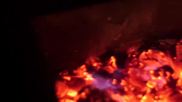 Red fire burns wood in dark, ash in fire, close-up. hot coals for brazier — Stock Video