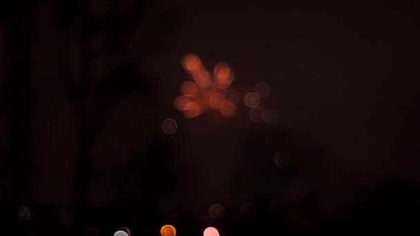 Kleurrijke wazige lampjes op een donkere achtergrond — Stockvideo