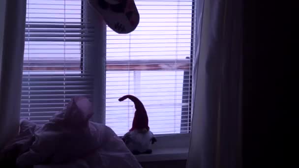 Okna. żaluzje. Zabawka. Skarpety na Boże Narodzenie. Rano. — Wideo stockowe