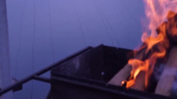 Brand, logs, Bbq, rivier, natuur. — Stockvideo