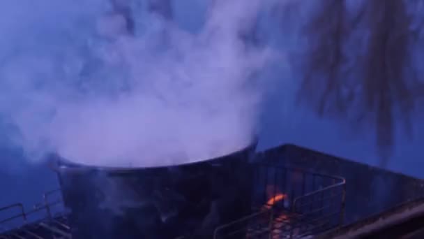 Fisksoppa "uha" på elden — Stockvideo