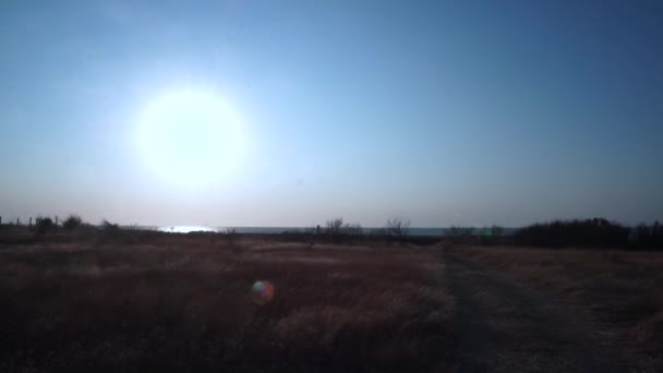 风在天顶的太阳圆圆和蓝天的映衬下，黄草与小麦相似。沿着小路，在悬崖附近跑一个女孩 — 图库视频影像