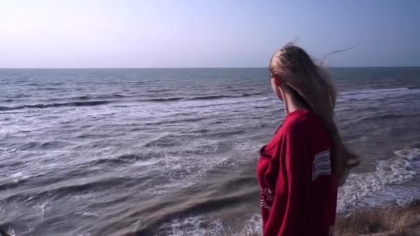 Een mooi meisje met lang blond haar, in een rood T-shirt, kijkt neer van een berg klei, op een vlakke horizon, een blauwe bewegende Golf, een blauwe hemel. Een sterke wind ontwikkelt gezichtshaar. Beweegt niet — Stockvideo