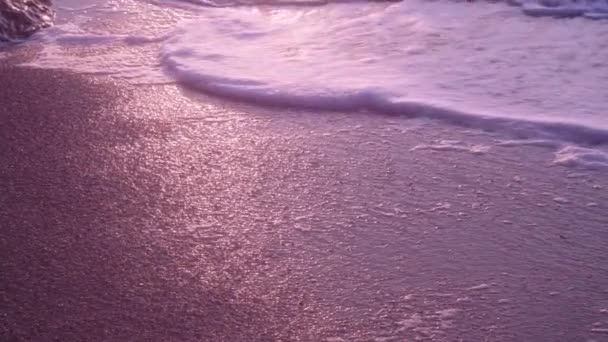 Waves, foam, bubbles, surf, on wet sand, orange flowers — Stock Video