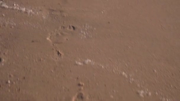 Die Kamera bewegt sich entlang der Fußspuren im Sand am Strand, stolpert über Frauenfüße — Stockvideo